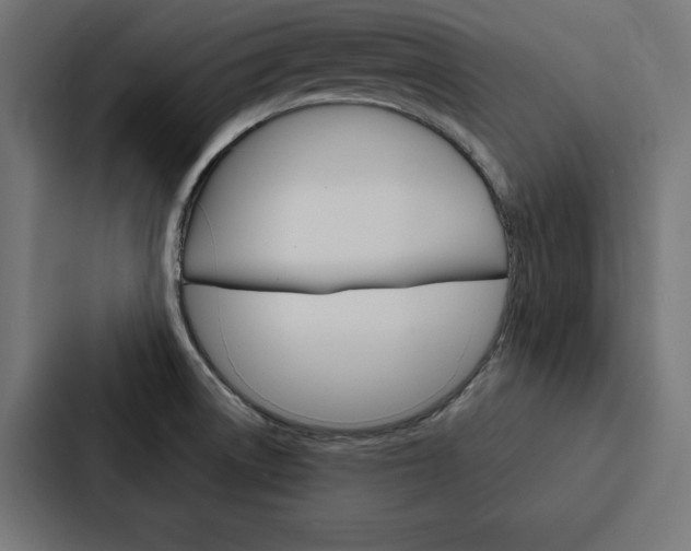 X0000088181522200705150929