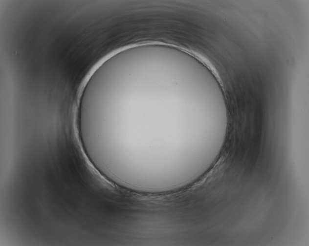 X0000088181524200705150929