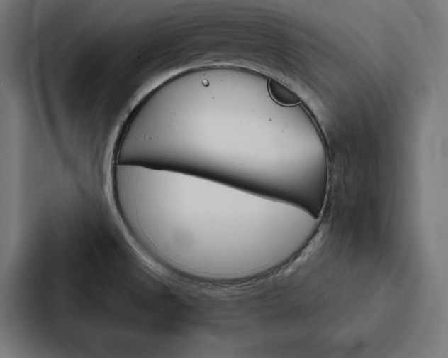 X0000088181525200705150929