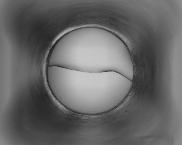 X0000088181526200705150929