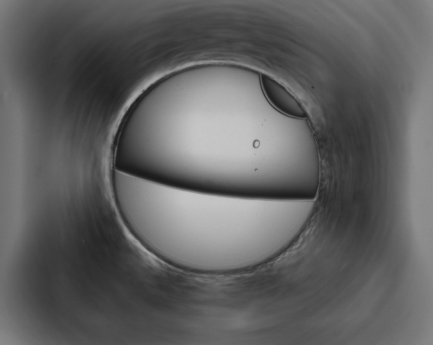 X0000088181527200705150929