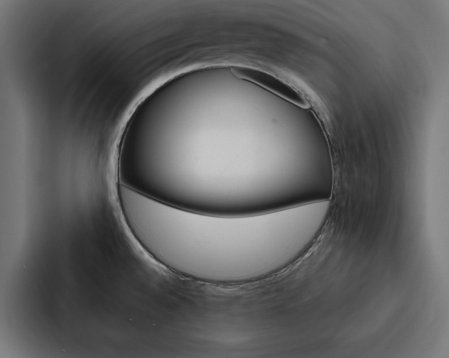 X0000088181528200705150929