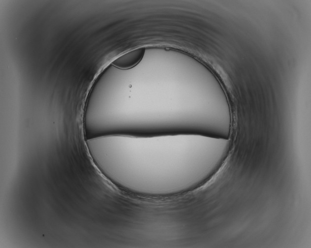 X0000088181529200705150929