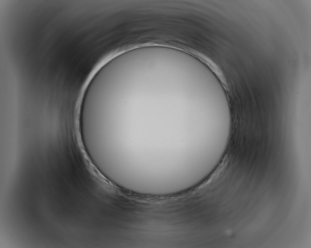 X0000088181530200705150929