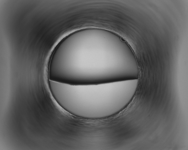 X0000088181531200705150929