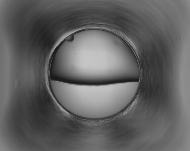 X0000088181533200705150929