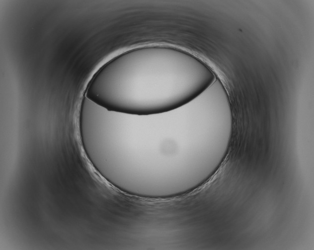 X0000088181534200705150929