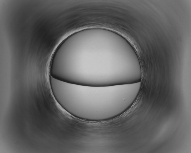 X0000088181535200705150929