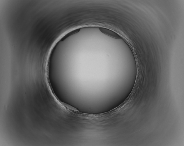 X0000088181536200705150929