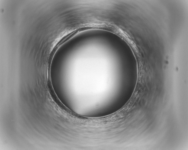 X0000088180011200705151226