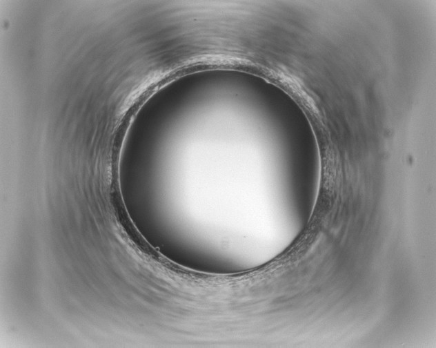 X0000088180015200705151226