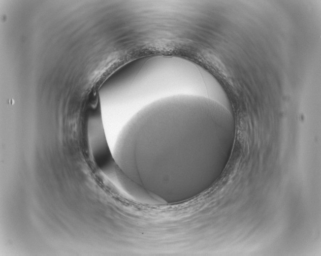 X0000088180023200705151226