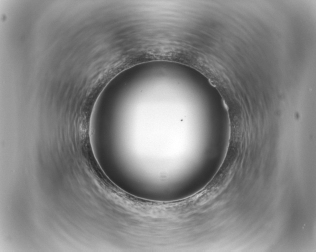 X0000088180040200705151226