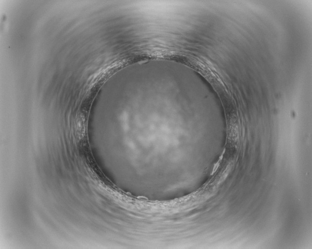 X0000088180043200705151226