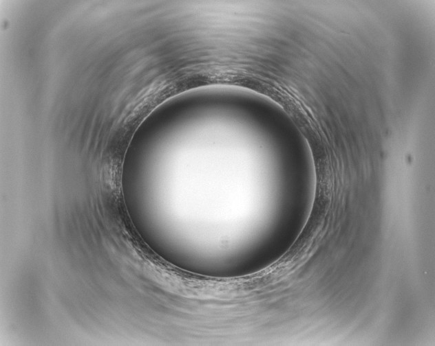 X0000088180044200705151226