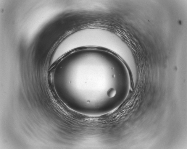 X0000088180052200705151225