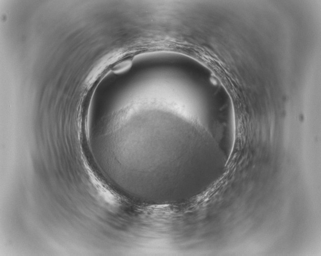 X0000088180054200705151225
