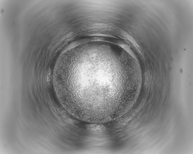 X0000088180073200705151225