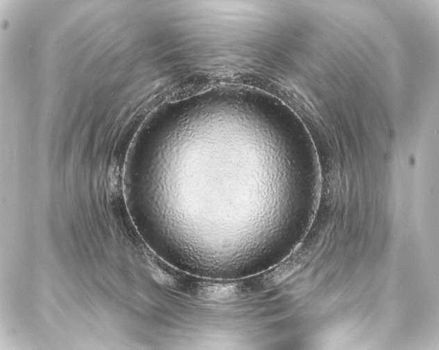 X0000088180081200705151225