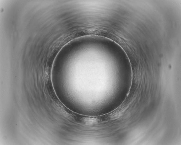 X0000088180085200705151225