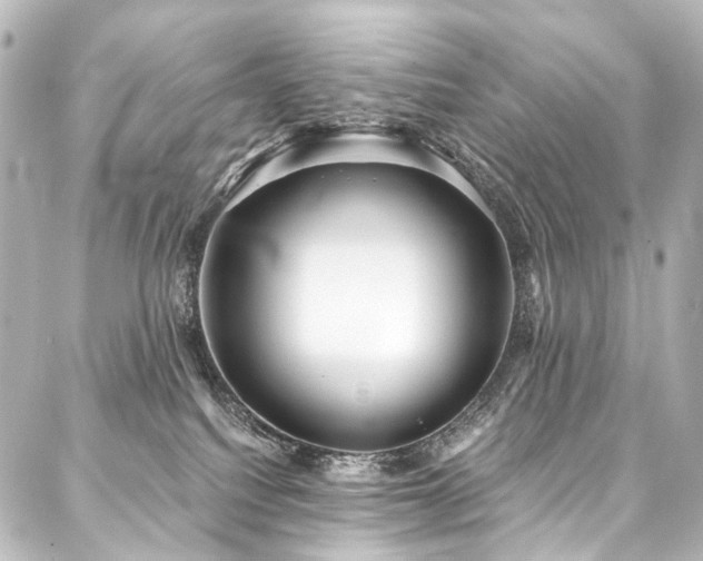 X0000088180088200705151225