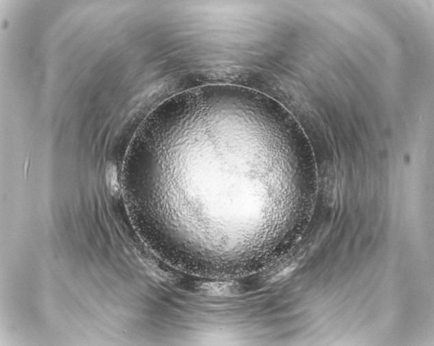 X0000088180089200705151225