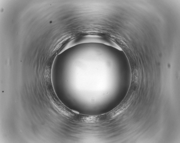 X0000088180092200705151226