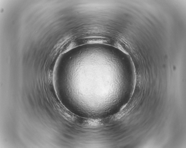 X0000088180093200705151226