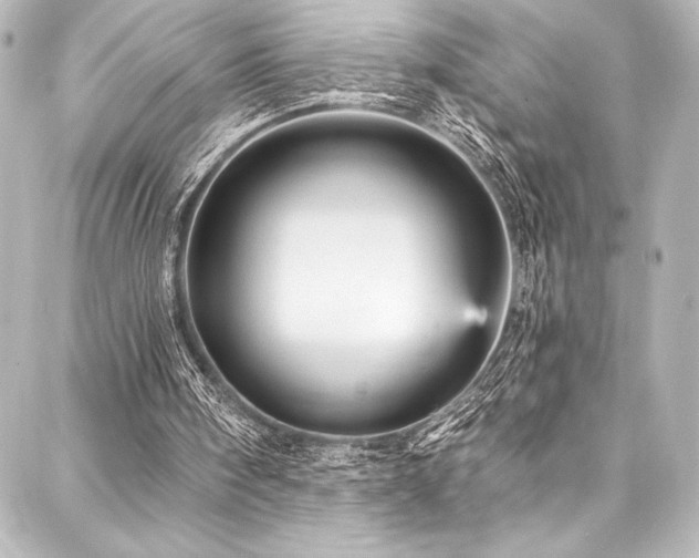 X0000088180098200705151225