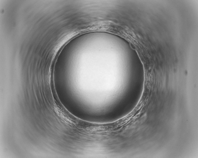 X0000088180100200705151225