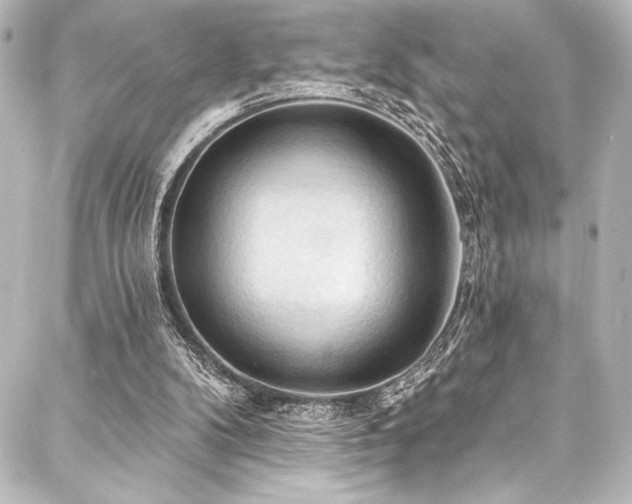 X0000088180104200705151225