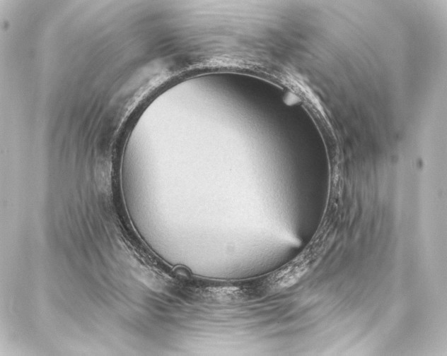 X0000088180108200705151225