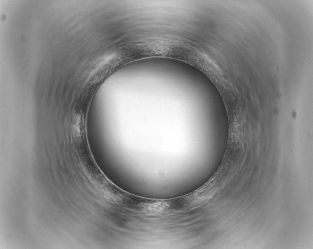 X0000088180122200705151224
