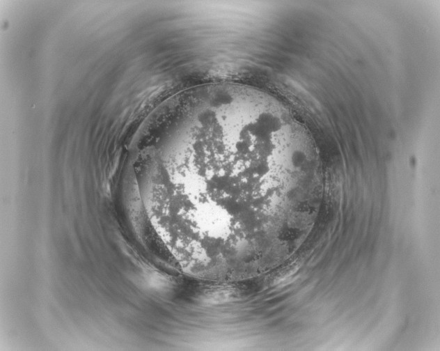 X0000088180127200705151224