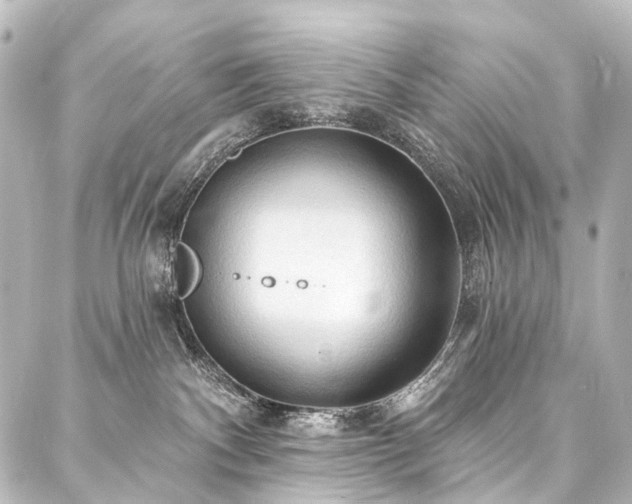 X0000088180140200705151224