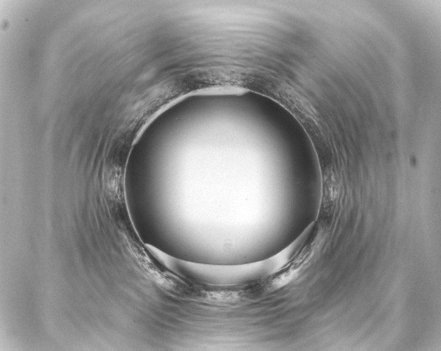 X0000088180141200705151224