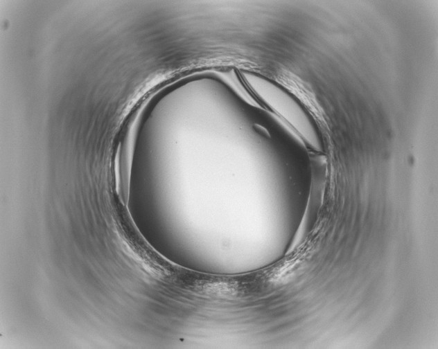 X0000088180156200705151223