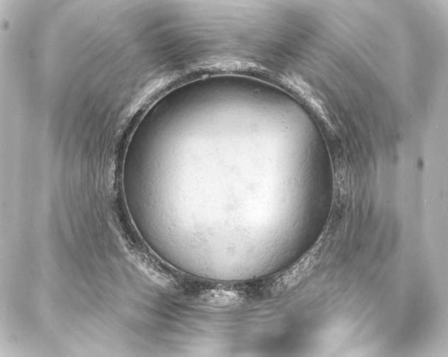 X0000088180159200705151223