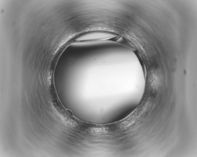X0000088180160200705151224
