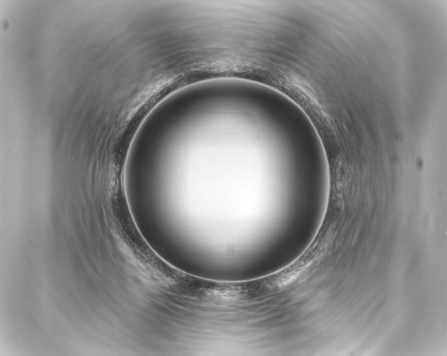 X0000088180164200705151224