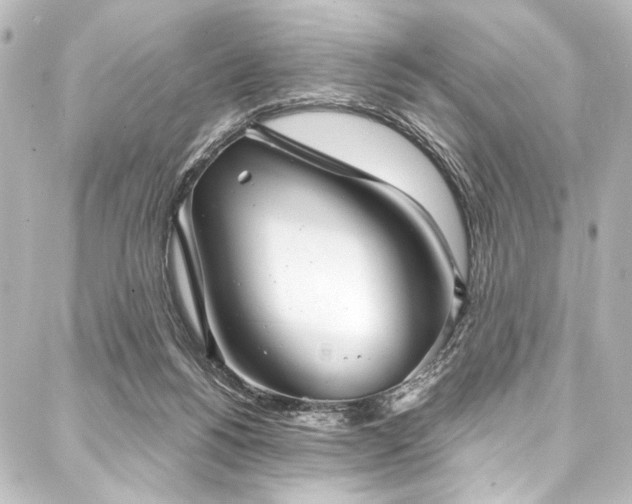 X0000088180168200705151224