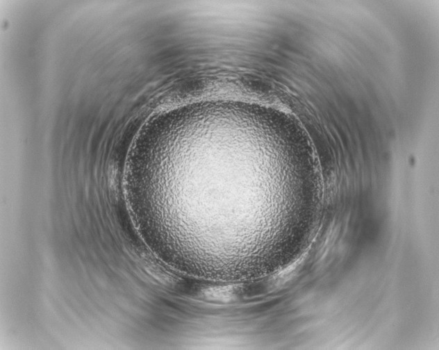 X0000088180178200705151224