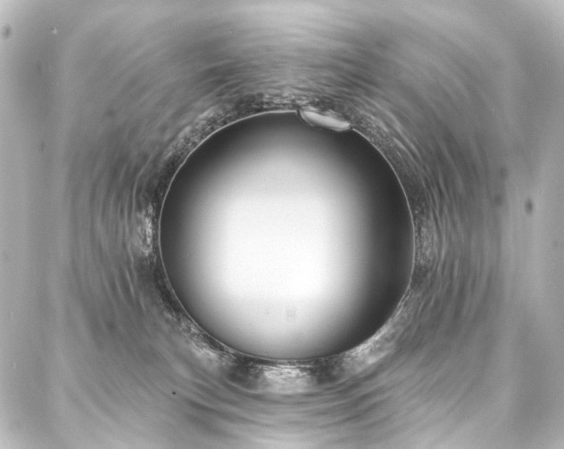X0000088180183200705151224