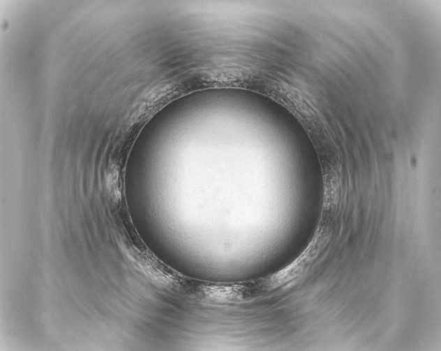 X0000088180187200705151224