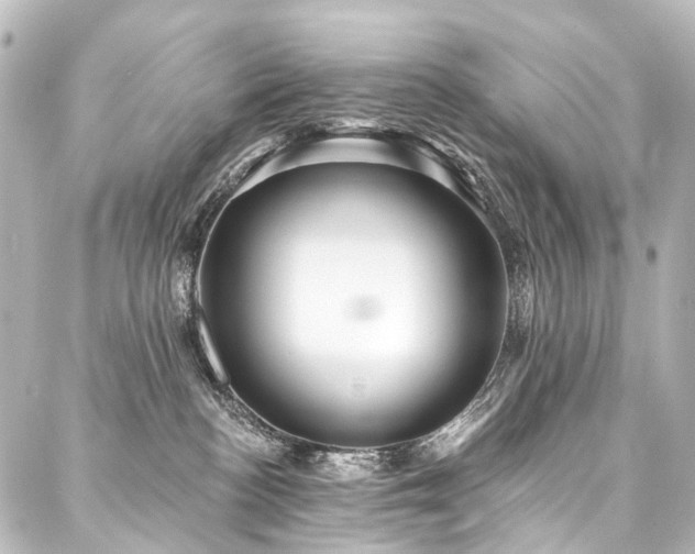 X0000088180188200705151224