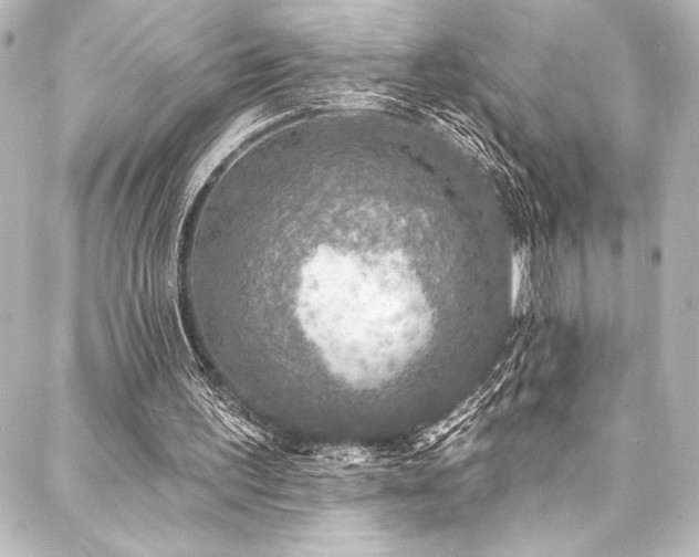 X0000088180195200705151223