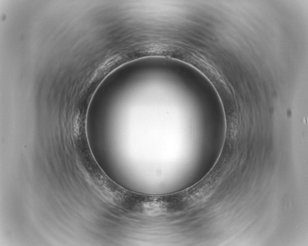 X0000088180216200705151223