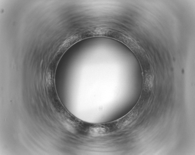 X0000088180220200705151223