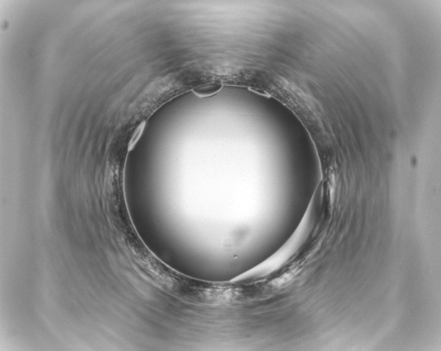 X0000088180225200705151223