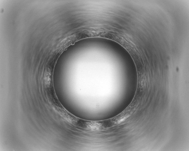X0000088180226200705151223